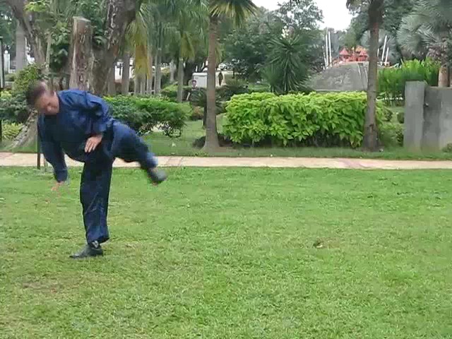 Shaolin 36 Leg Techniques